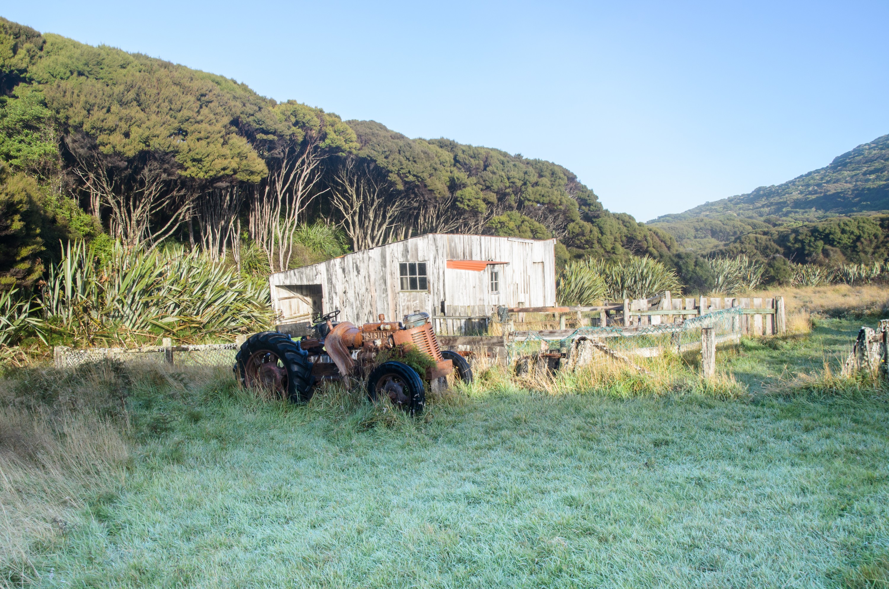 DSC_2112 – Adventure, Bay, Crispin, Island, March 2017, Mason, Mason Bay, National Park, New, New Zealand, Rakiura, South, Stewart, Zealand